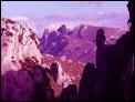 Escursione  a "Gran Montagna" Tra flora e fauna  bellissimi panorami ed energia pulita